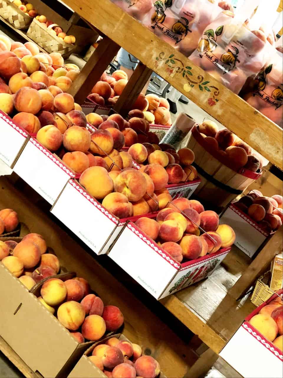 Sweet Georgia Peaches grown at Mercier Orchards in Blue Ridge, Georgia