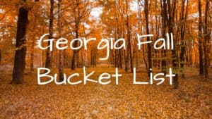 Georgia Fall Bucket List. Have Fun This Fall With These Things To Do!