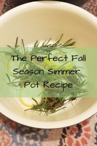 The Perfect Fall Season Simmer Pot Recipe
