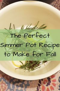 The Perfect Simmer Pot Recipe to Make for Fall- Non Toxic- Air Freshener