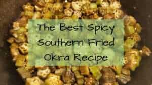The Best Spicy Southern Fried Okra Recipe- Dinner