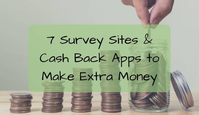 Making Extra Money: 7 Survey Sites & Cash back apps I Recommend