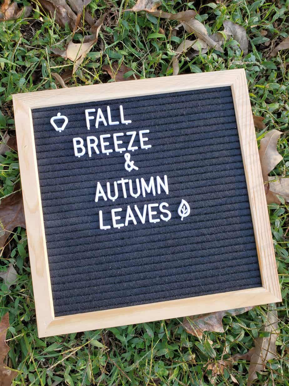 Fall Breeze & Autumn Leaves on Sign Laying in the Grass