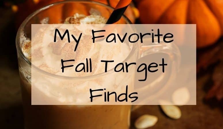 My Favorite Fall Target Finds