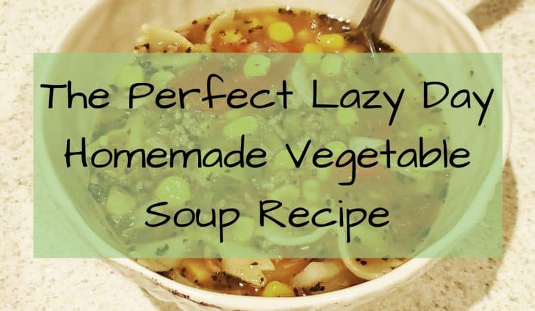 The Perfect Lazy Day Homemade Vegetable Soup Recipe