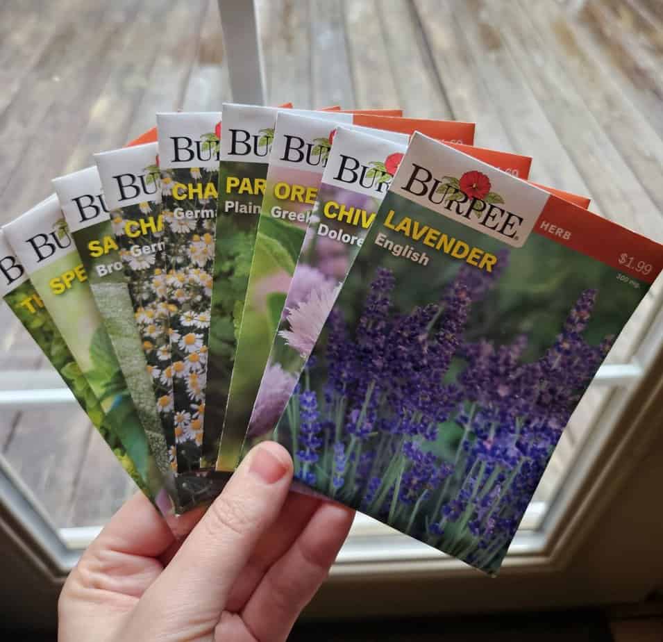 A variety of seeds for the garden.