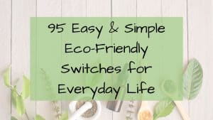Eco-Friendly Switches for Everyday Life- Sustainable- Natural