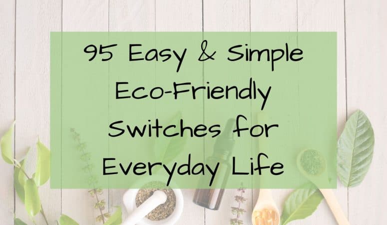 95 Easy & Simple Eco-Friendly Switches for Everyday Life