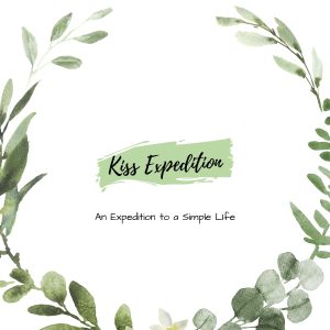 Kiss Expedition Logo