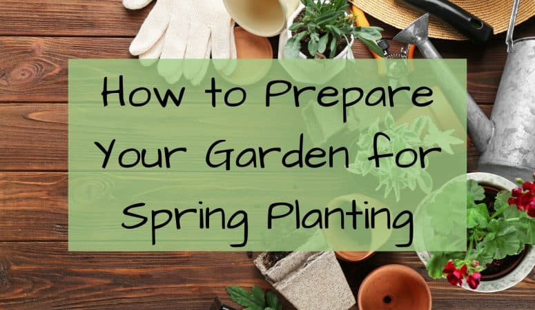 How to Prepare Your Garden for Spring Planting