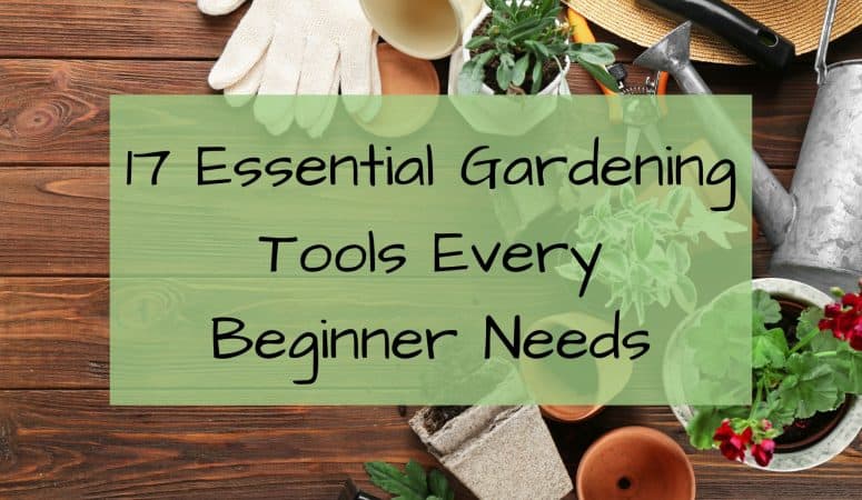 17 Essential Gardening Tools Every Beginner Needs