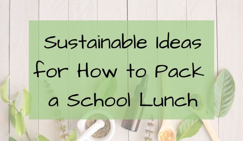 Sustainable Ideas for How to Pack a School Lunch