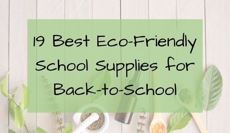 19 Best Eco-Friendly School Supplies for Back-to-School